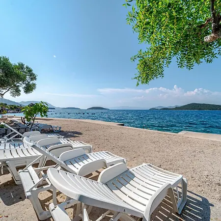 Pjestata 10210b Janjina